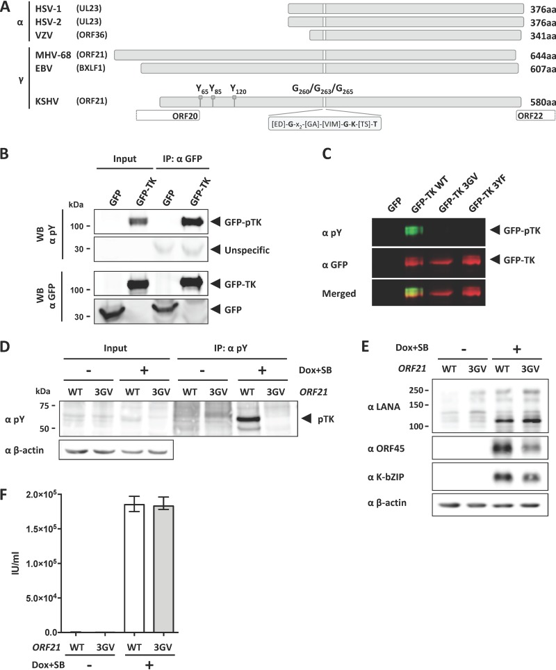 FIG 1