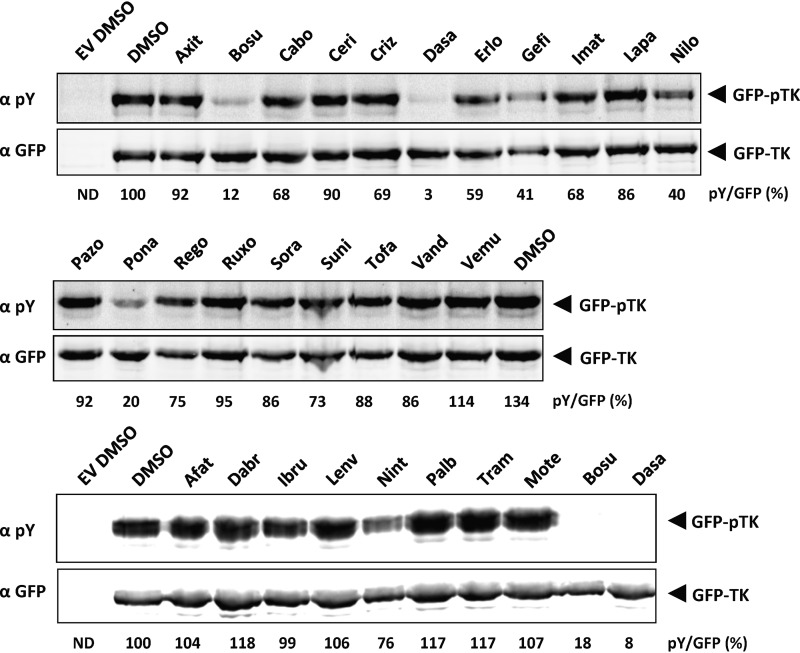 FIG 3