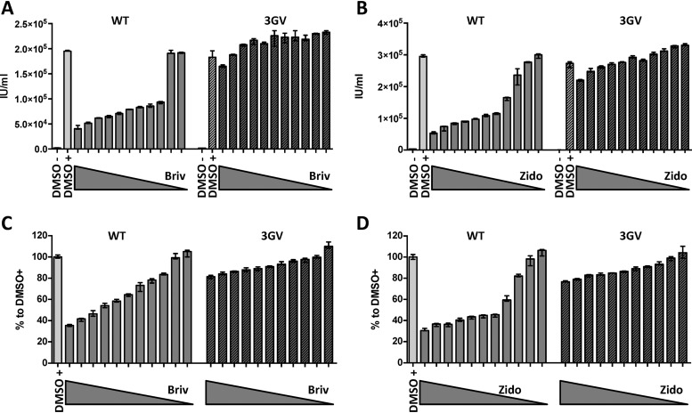 FIG 2