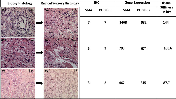 Figure 6