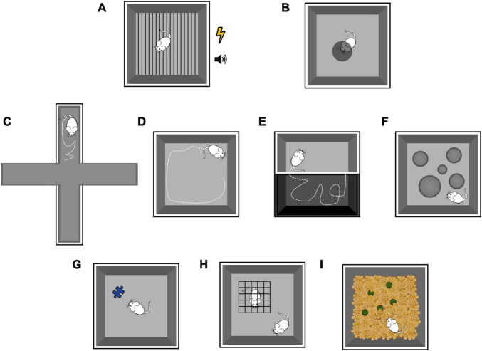 FIGURE 6