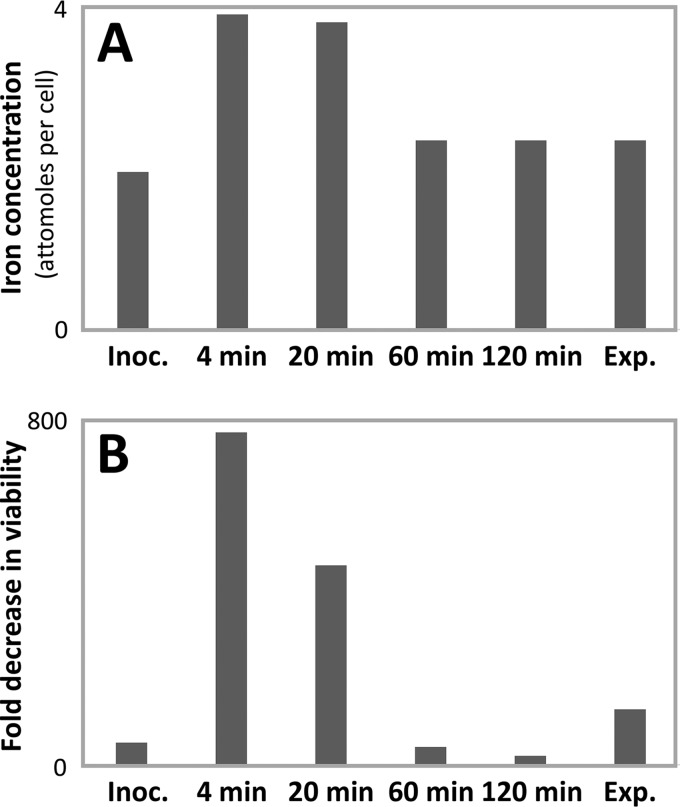 FIG 6