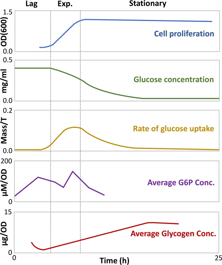 FIG 3