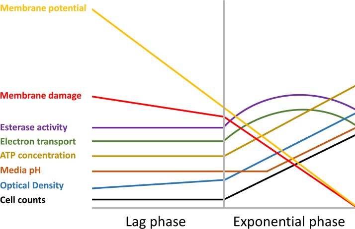 FIG 4