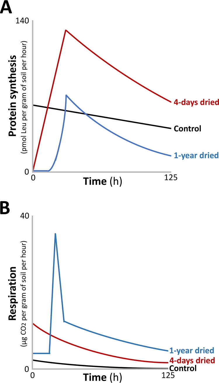 FIG 5