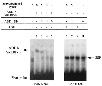 FIG. 5