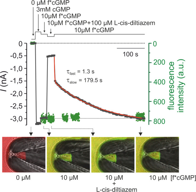 Fig. 3