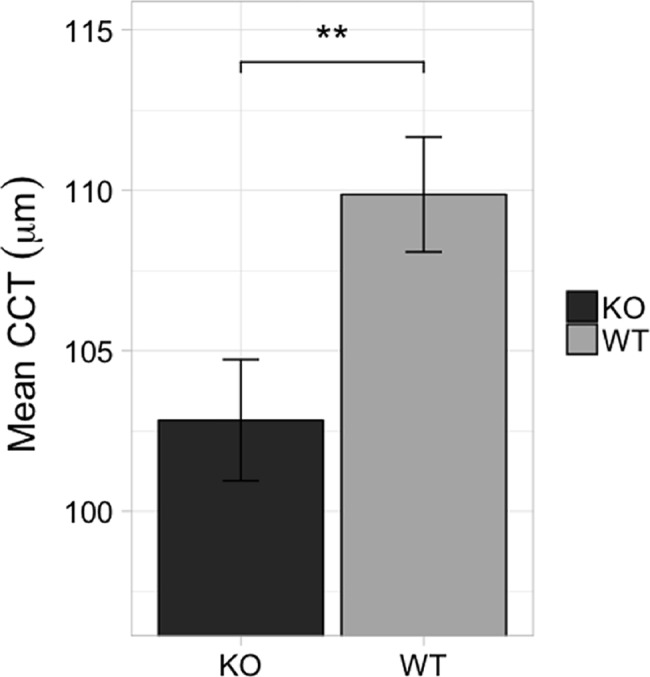 Fig 10
