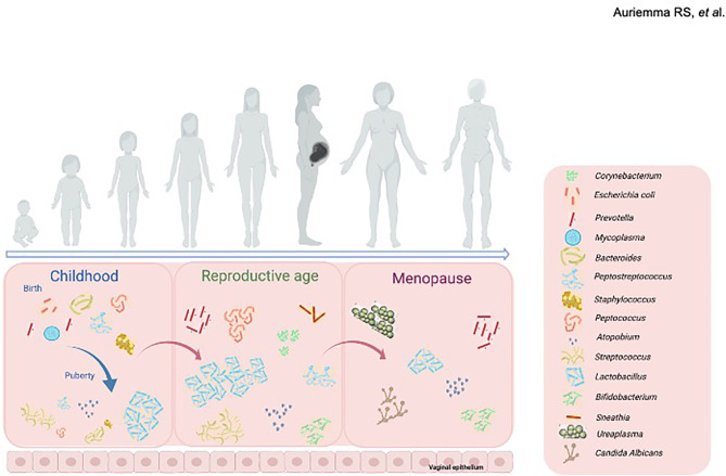 Figure 1