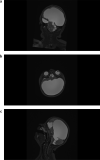 Fig. 5