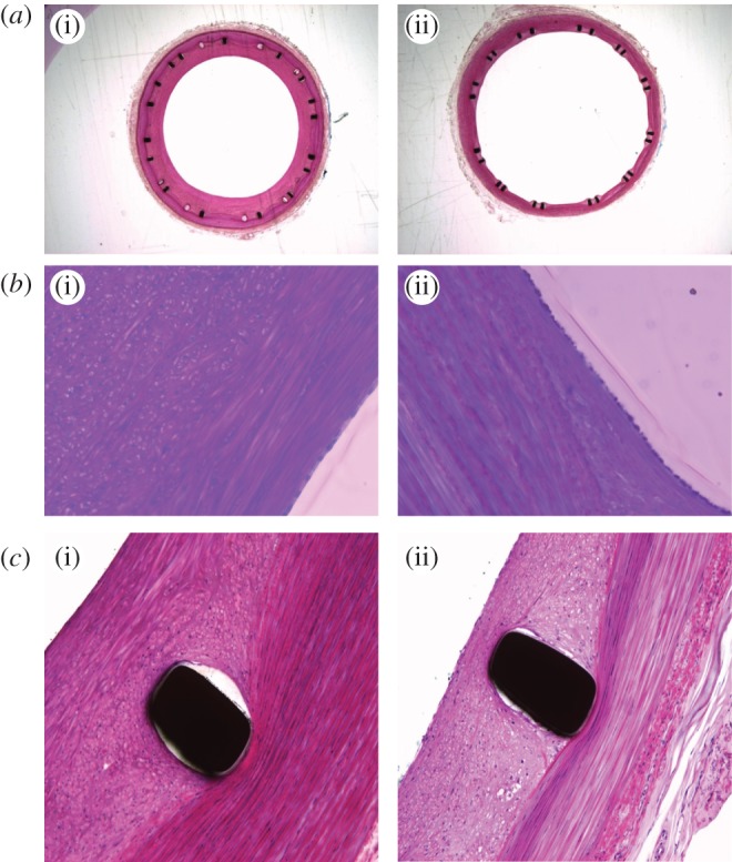 Figure 4.