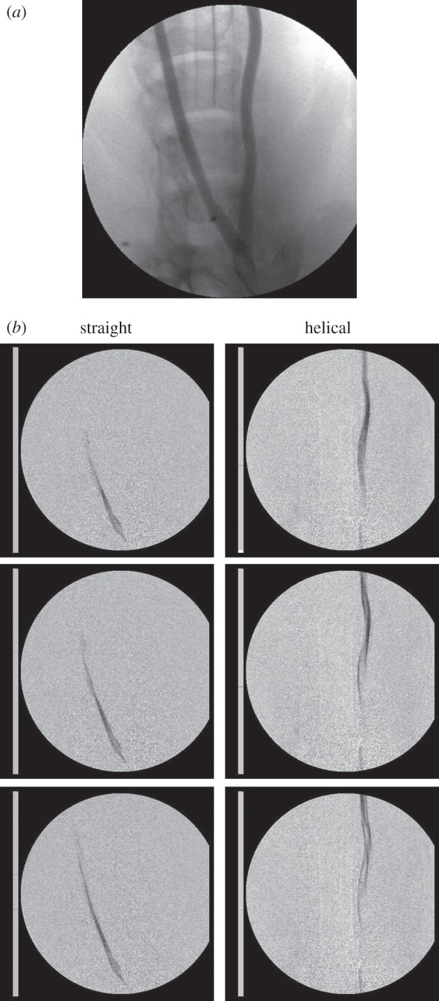 Figure 2.