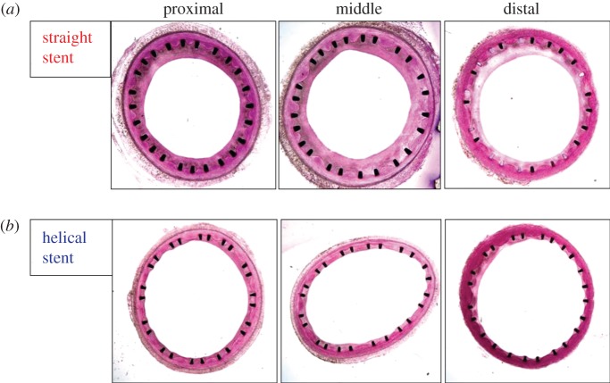 Figure 3.