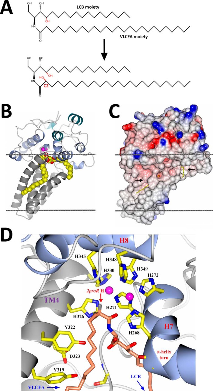 FIGURE 6.