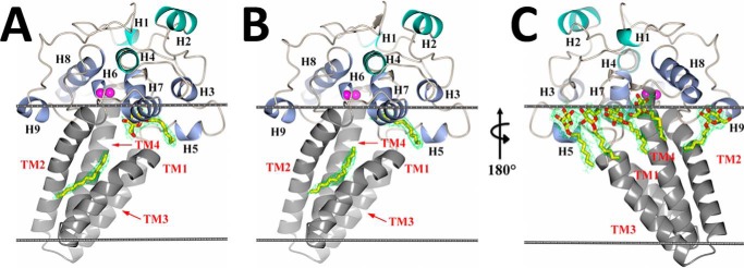 FIGURE 2.