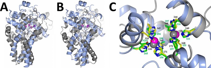 FIGURE 5.