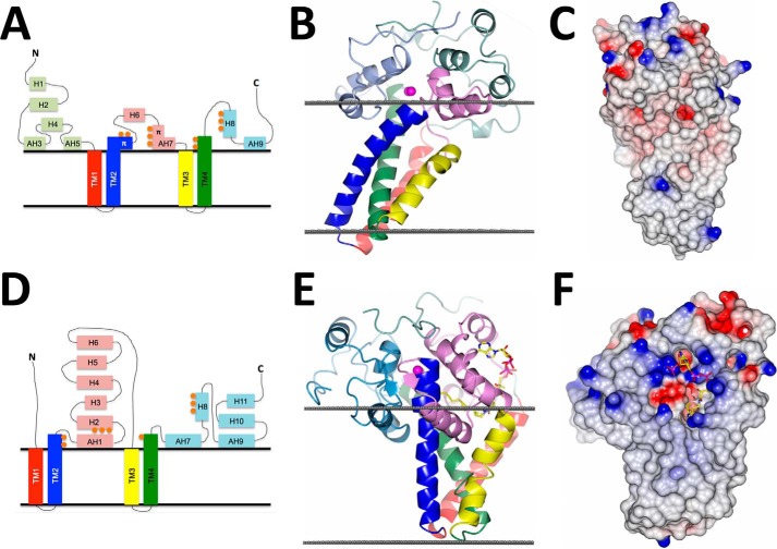 FIGURE 4.