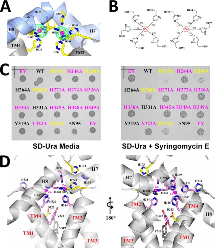 FIGURE 3.