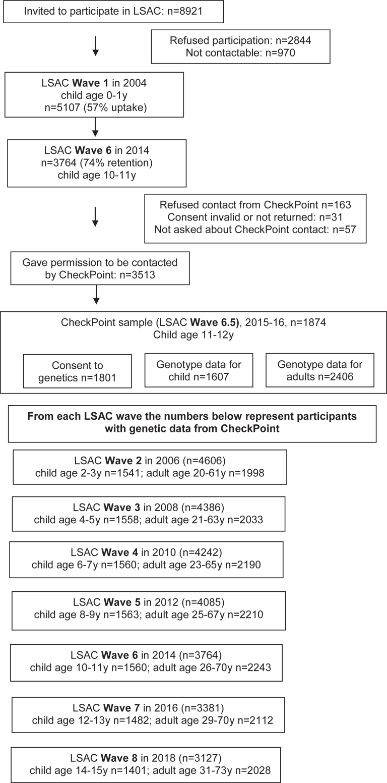 Fig. 1