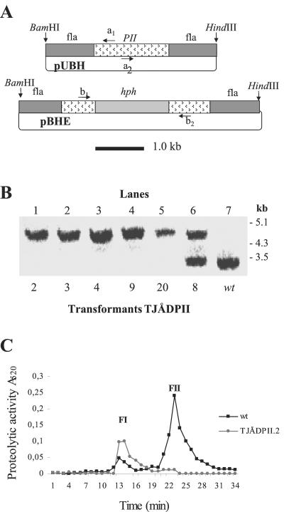 FIG. 2.