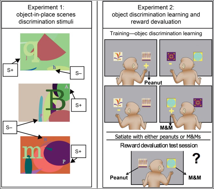 Figure 1.