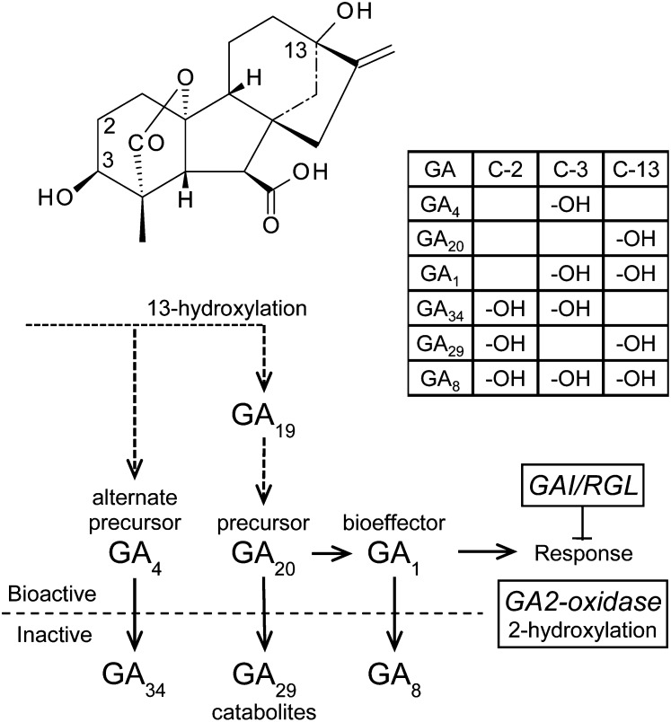 Figure 10.