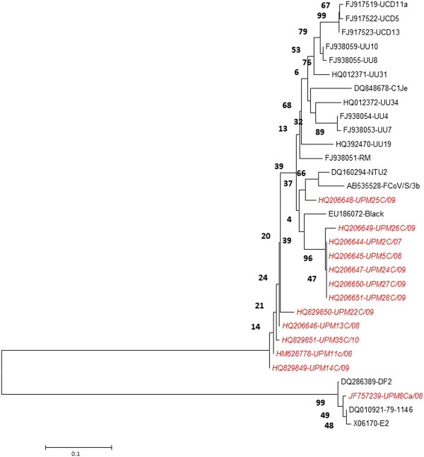 Figure 5