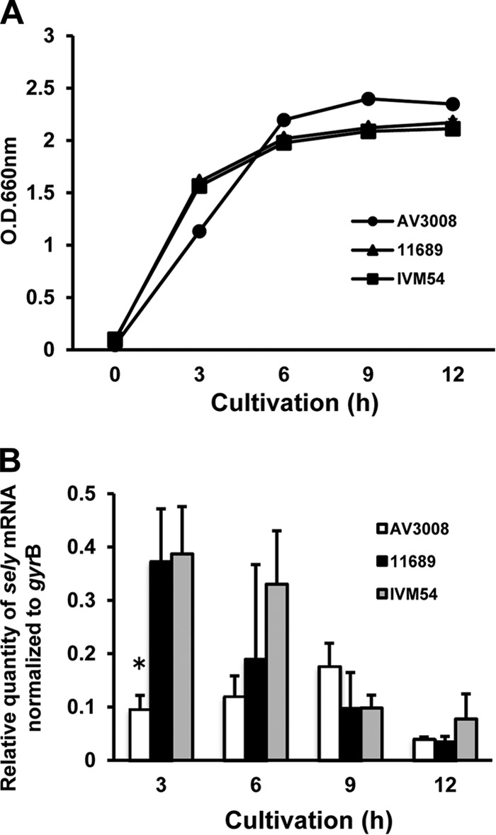 FIG 2