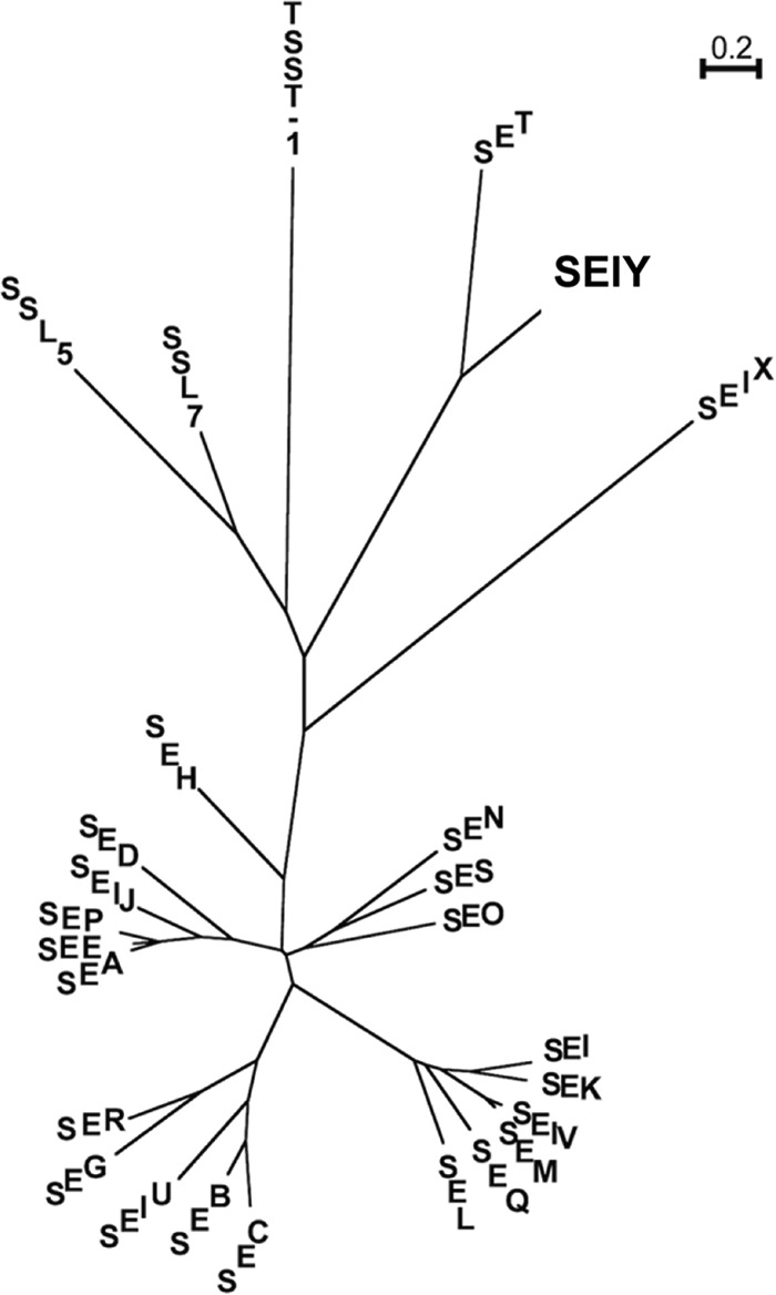 FIG 1