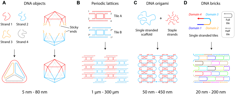 Figure 2.