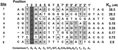 FIG. 4.