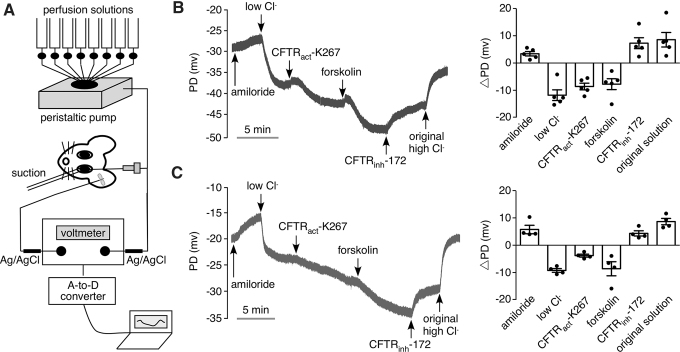 FIG. 1.