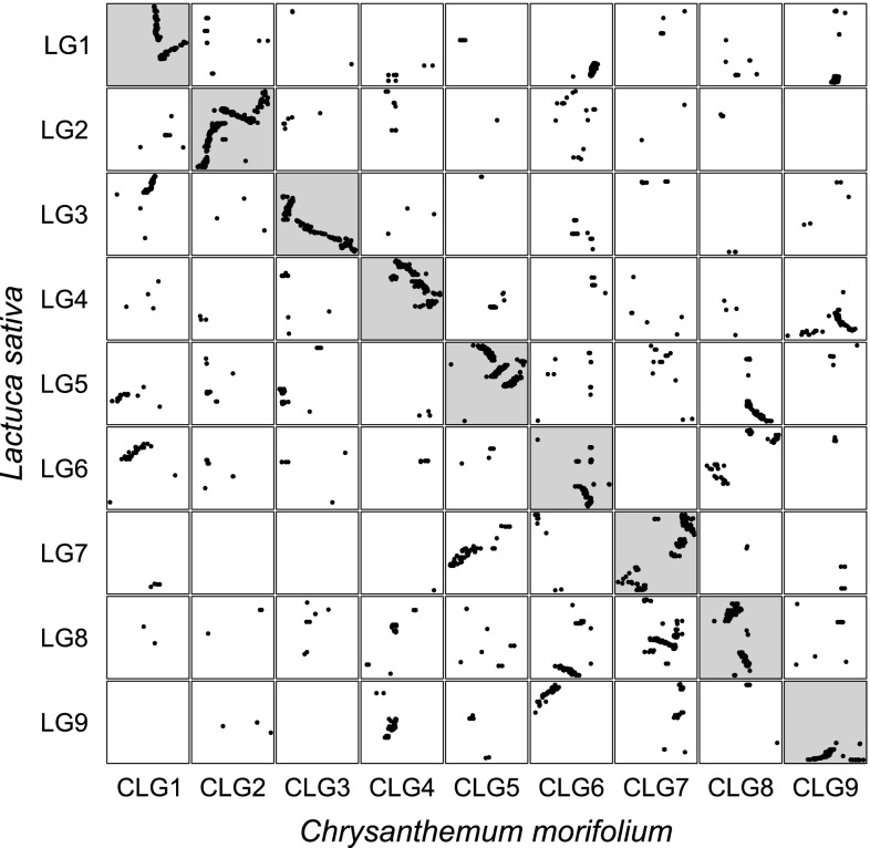 Fig. 4