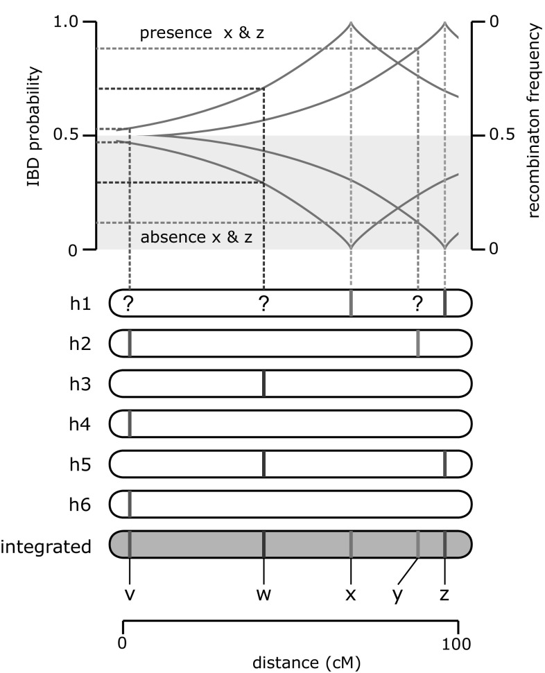 Fig. 2