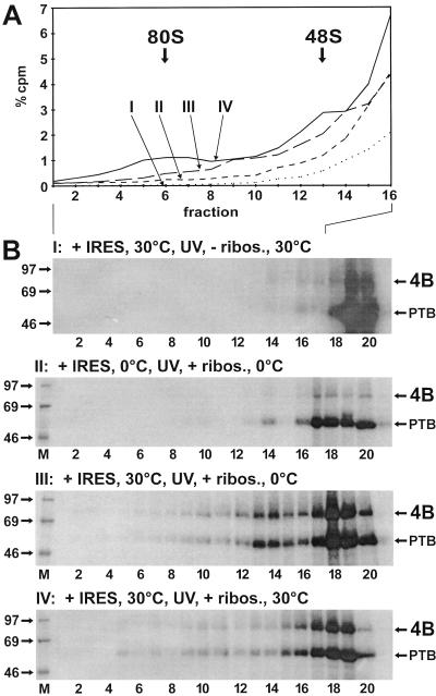 FIG. 5