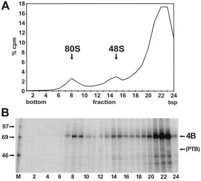 FIG. 8