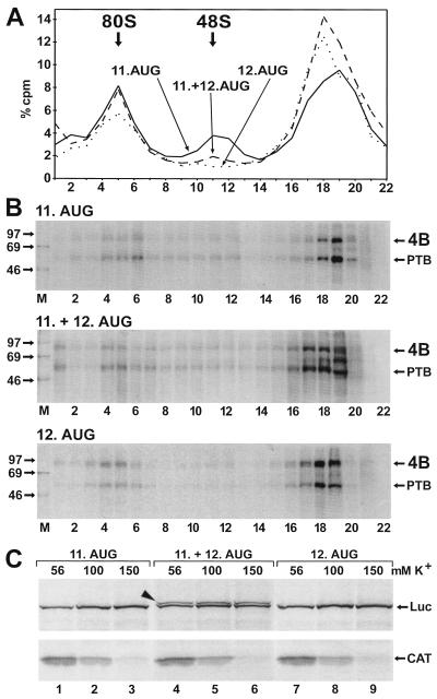 FIG. 6