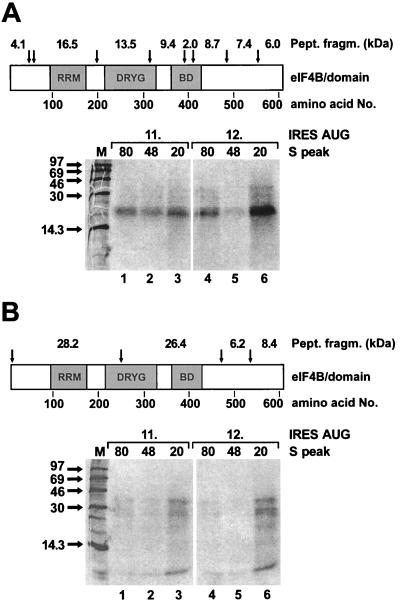 FIG. 7