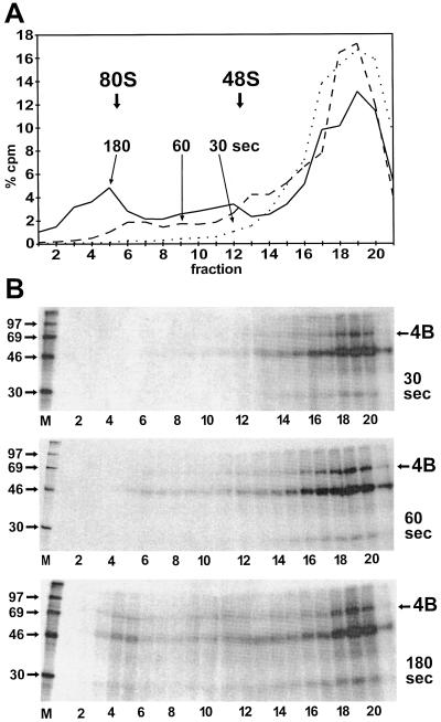 FIG. 4