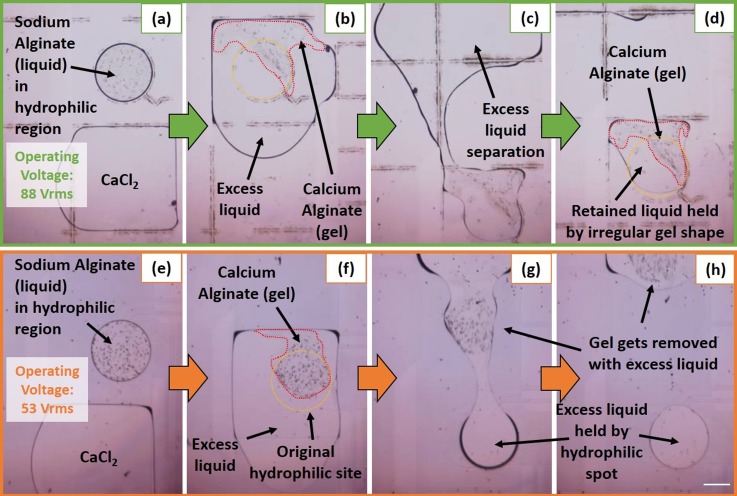 FIG. 4.