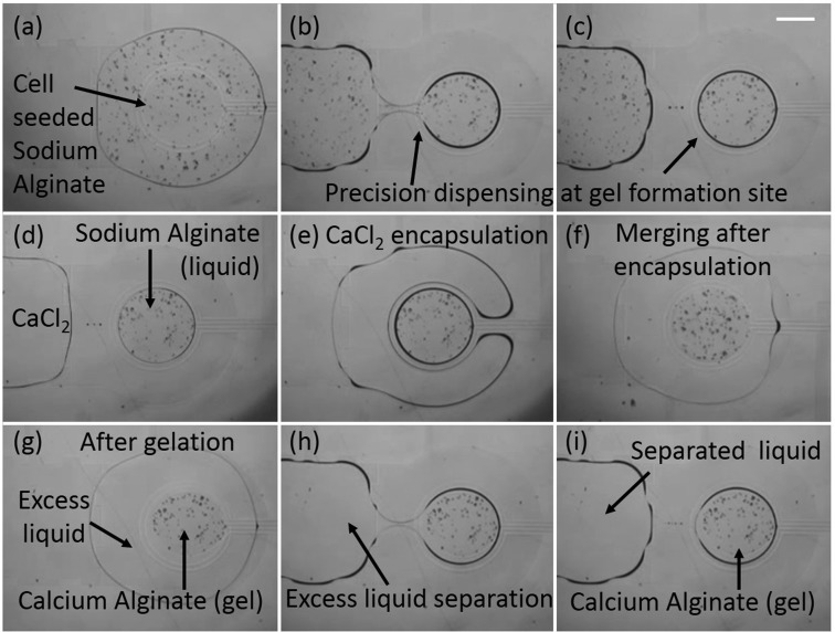 FIG. 5.