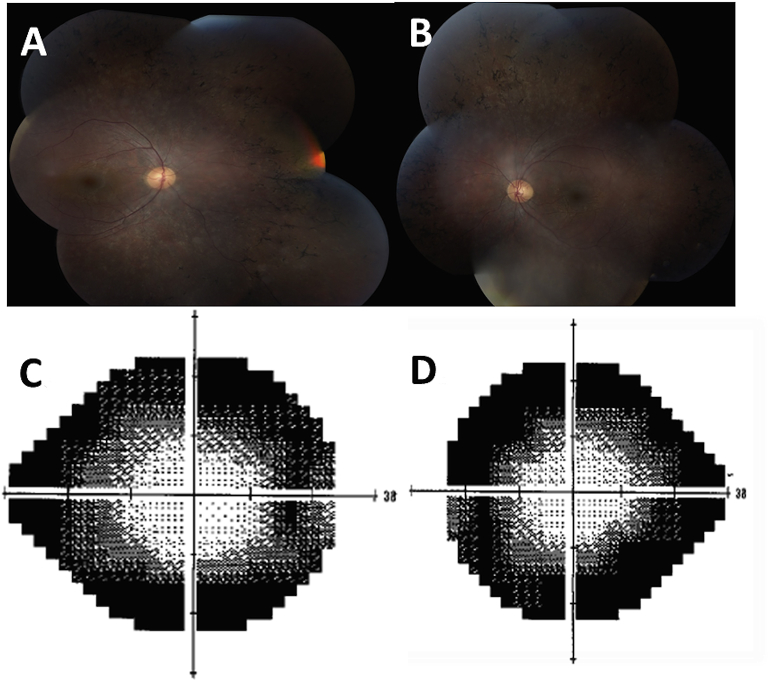 Fig. 3