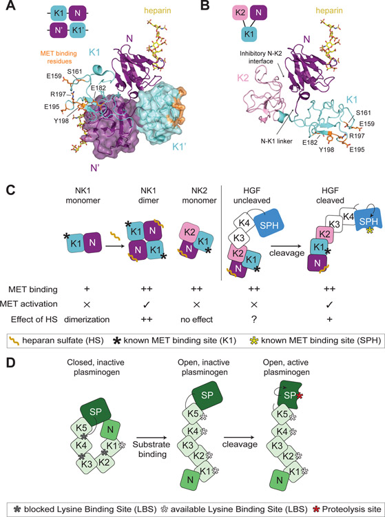 Figure 4: