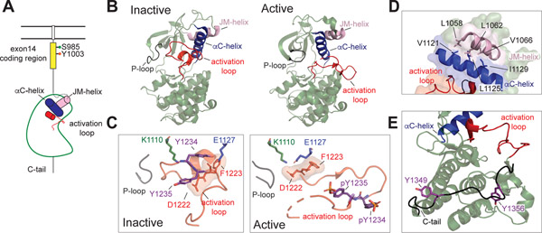 Figure 5: