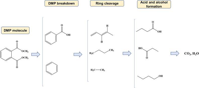 Fig. 8