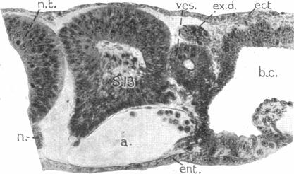 Fig. 15