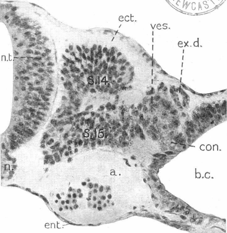 Fig. 16