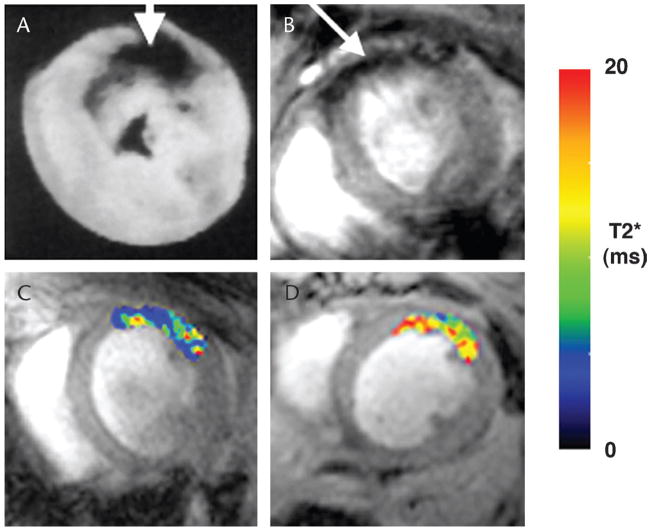 FIGURE 3