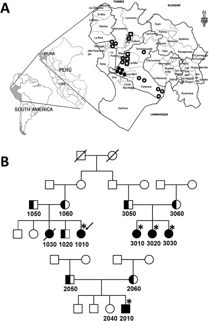 FIG. 1