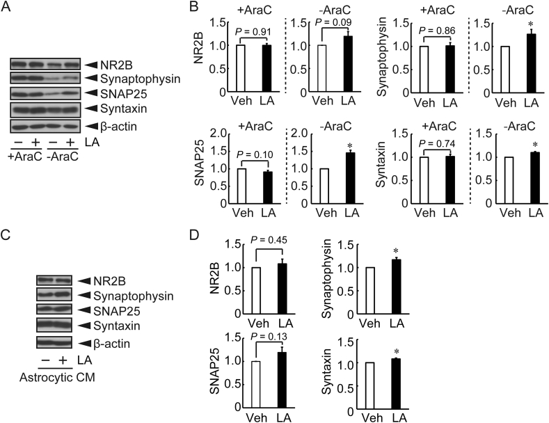 Figure 4